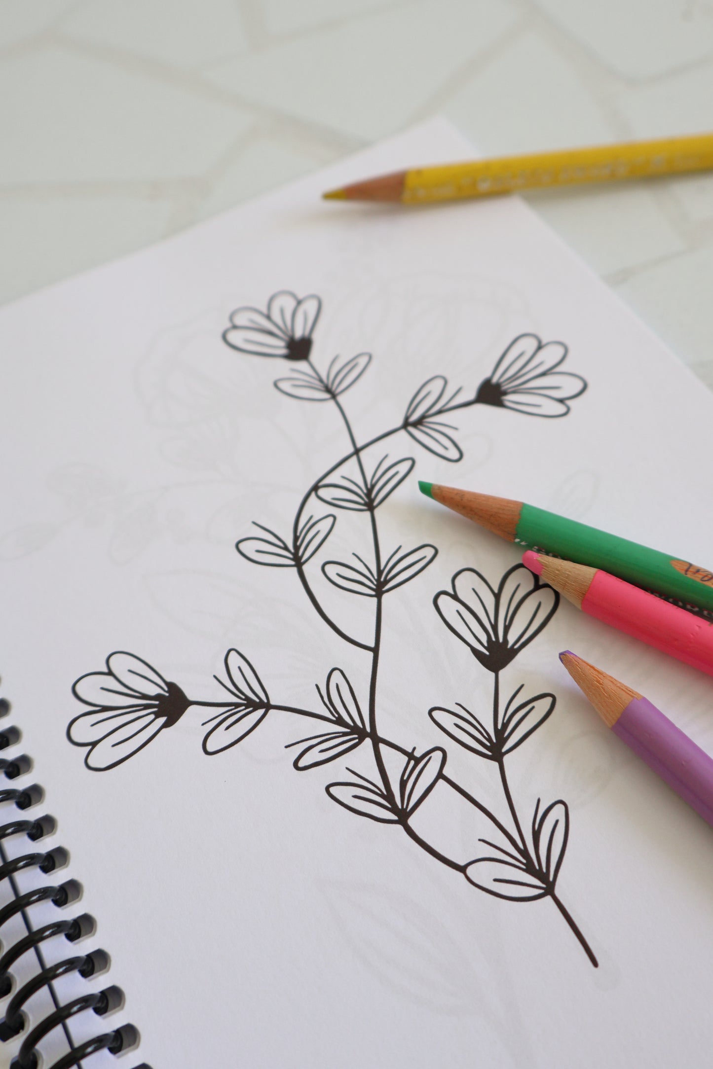 The Bright Collection: Bringing Petals to Life