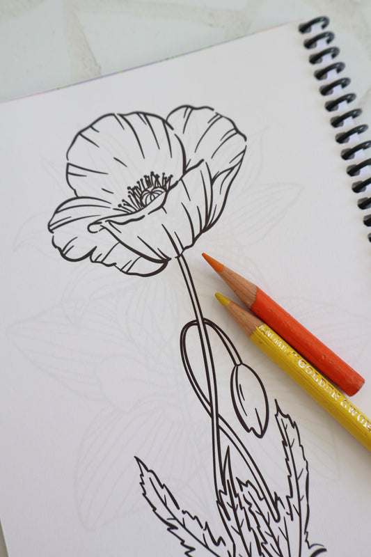 The Bright Collection: Bringing Petals to Life